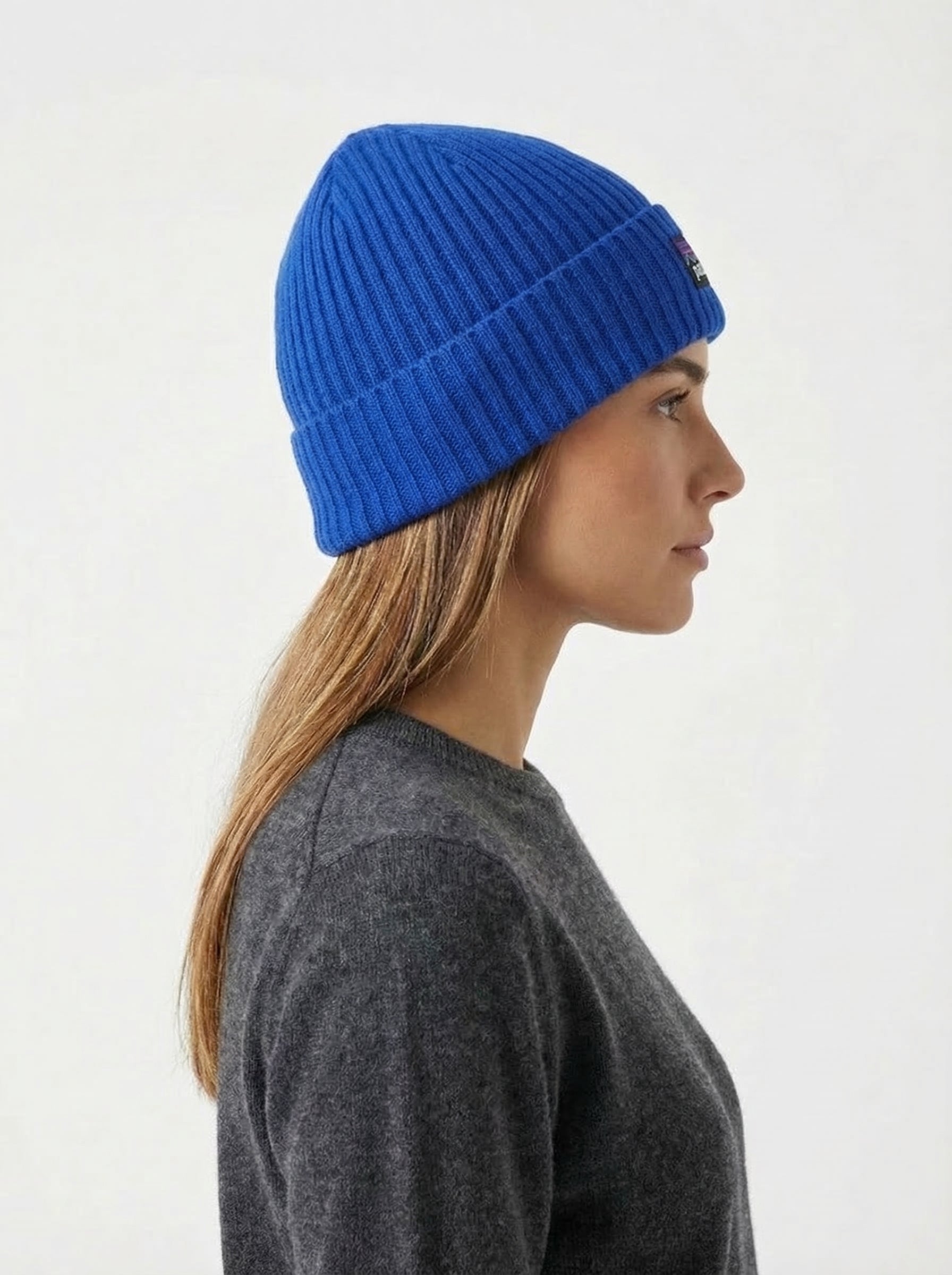 Patagonia Fisherman's Rolled Beanie