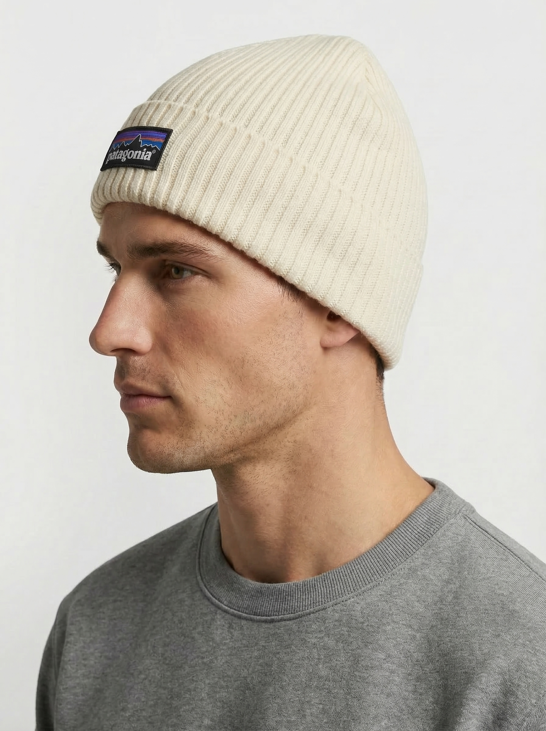 Patagonia Fisherman's Rolled Beanie