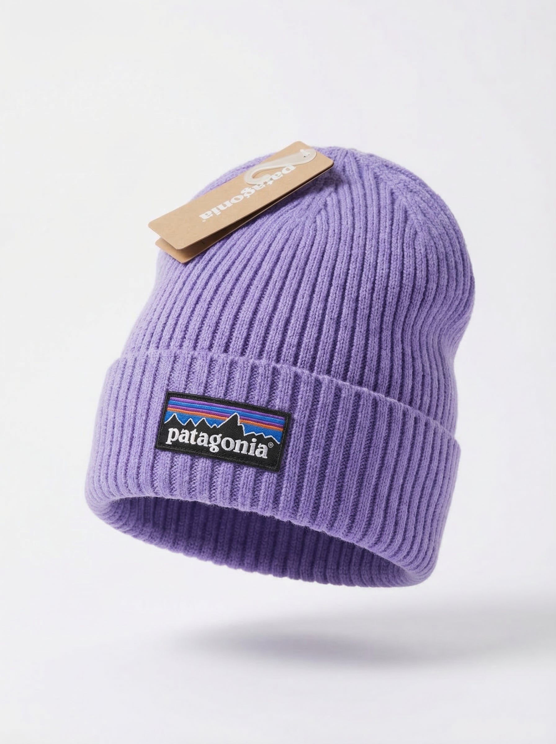 Patagonia Fisherman's Rolled Beanie