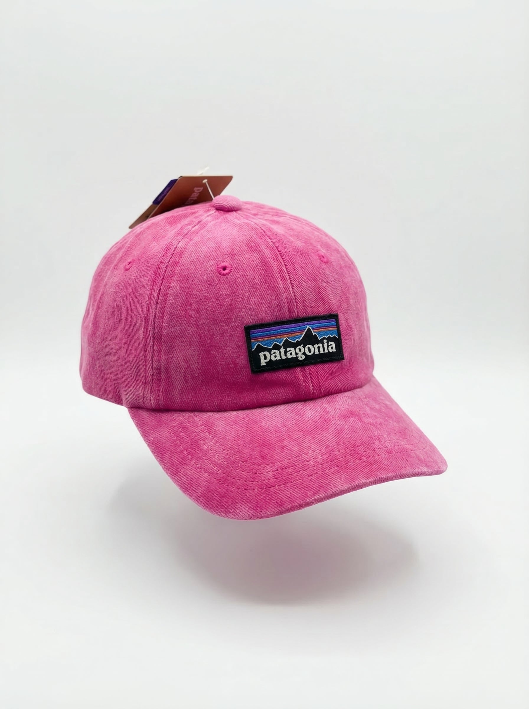 Patagonia Classic Mountain Logo Cap