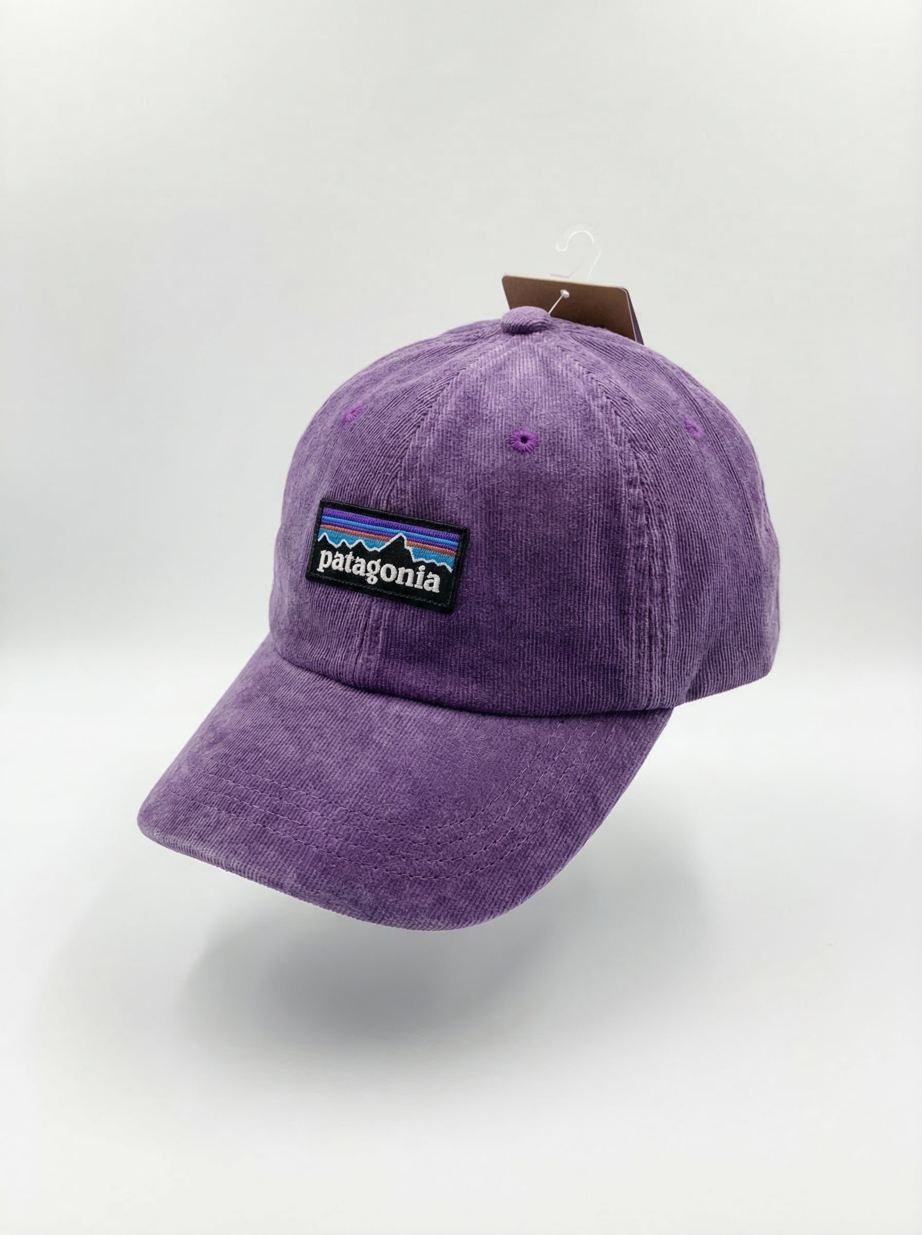 Patagonia Classic Mountain Logo Cap