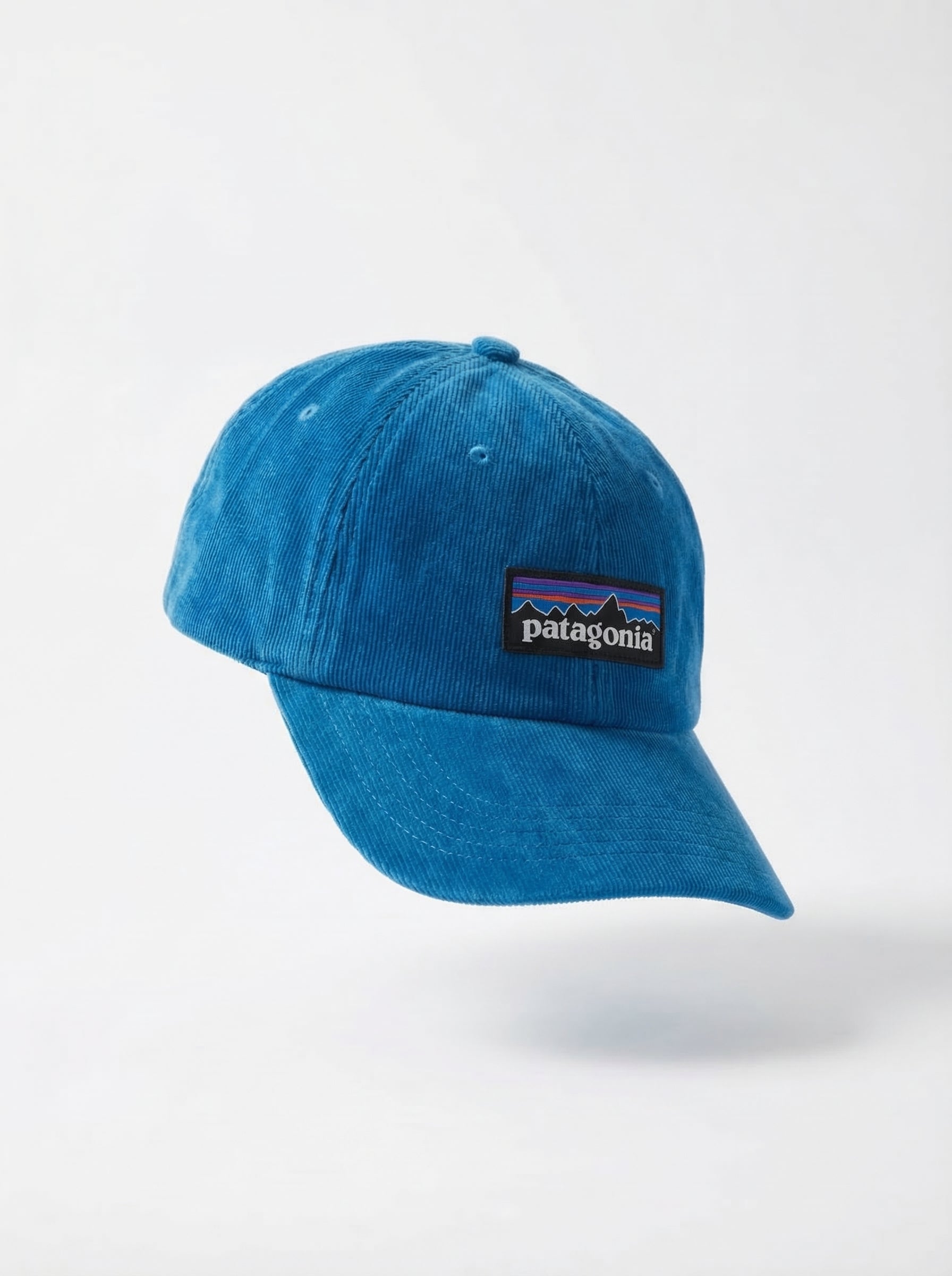 Patagonia Classic Mountain Logo Cap
