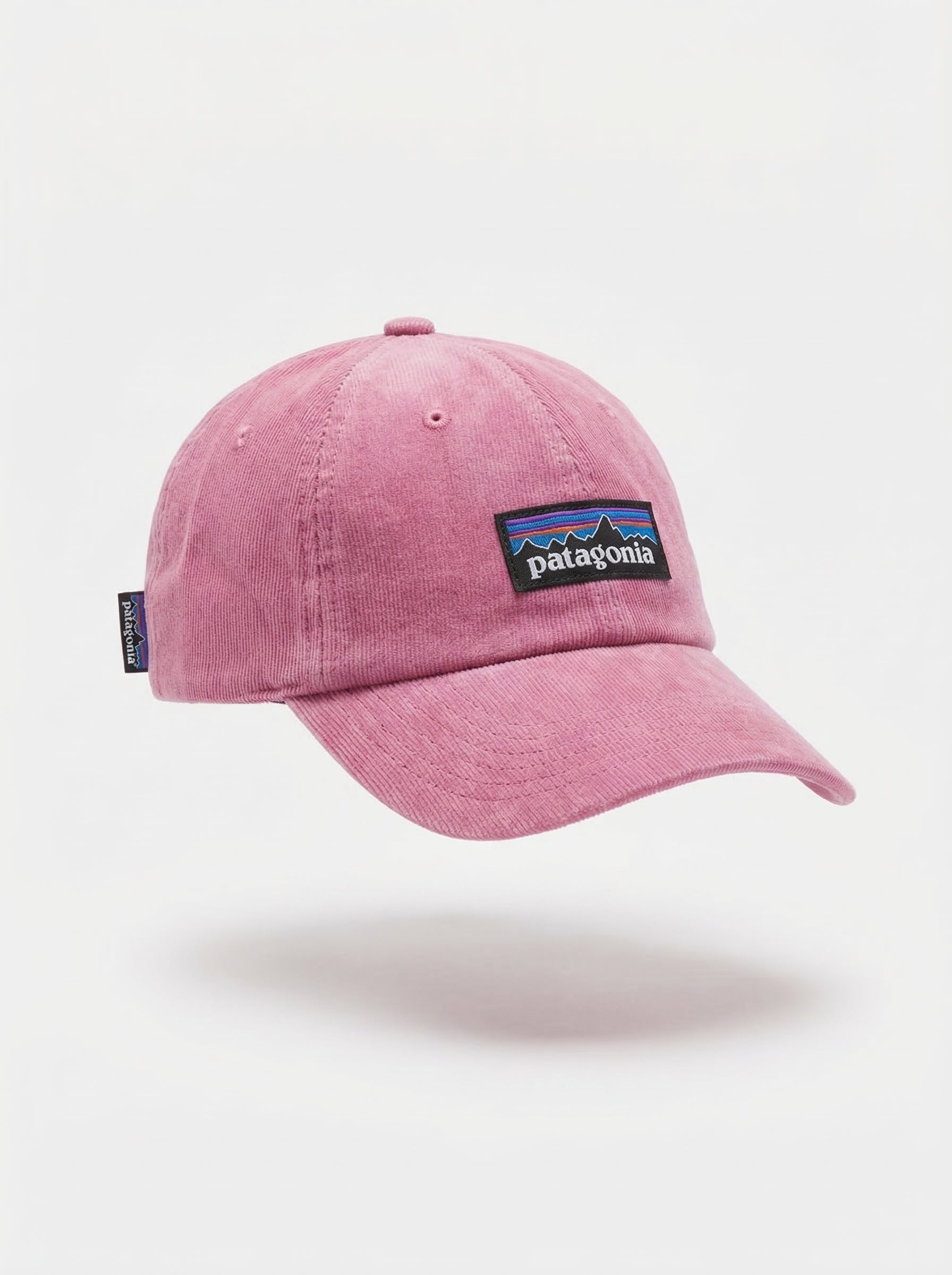 Patagonia Classic Mountain Logo Cap