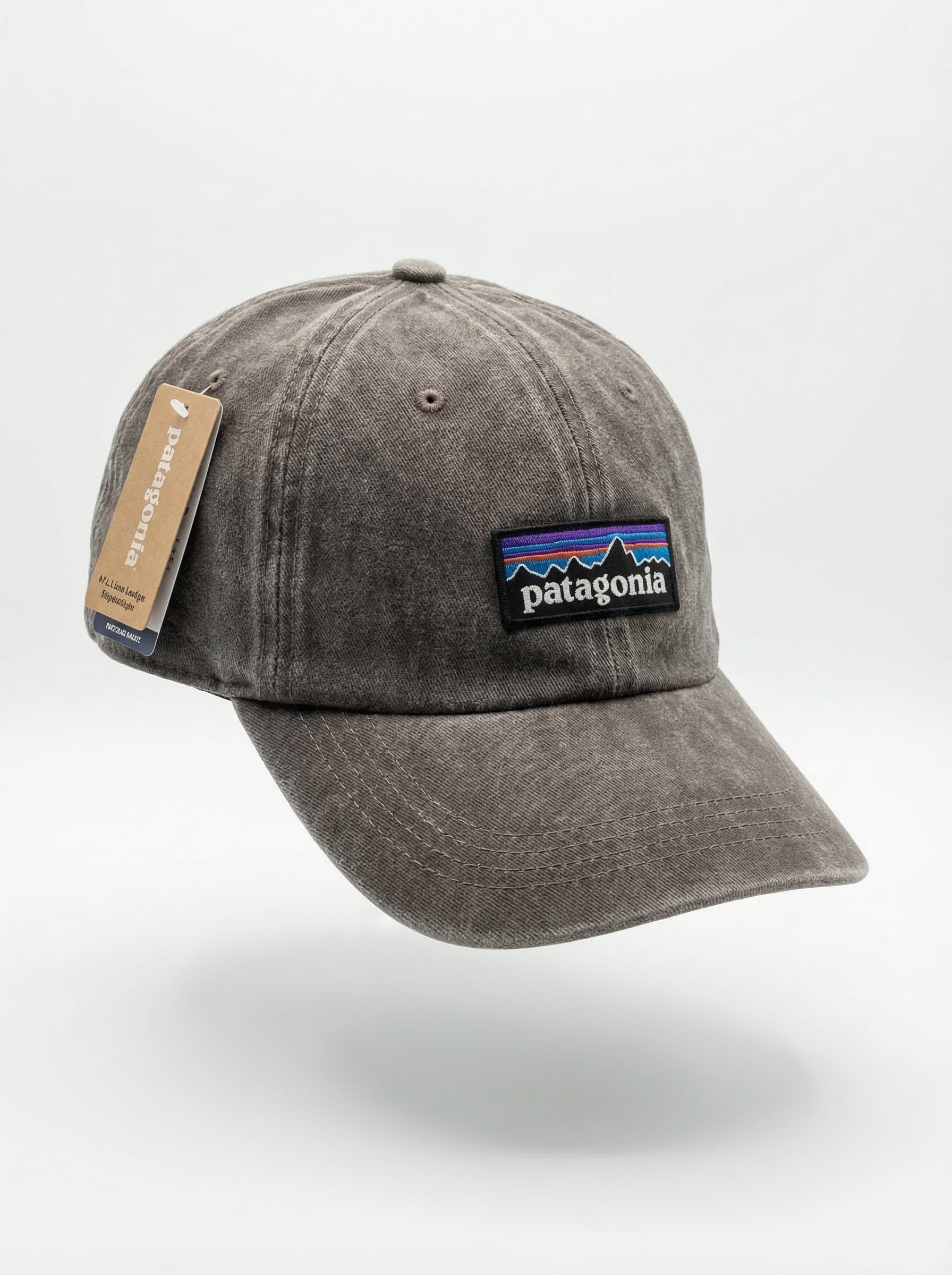 Patagonia Classic Mountain Logo Cap