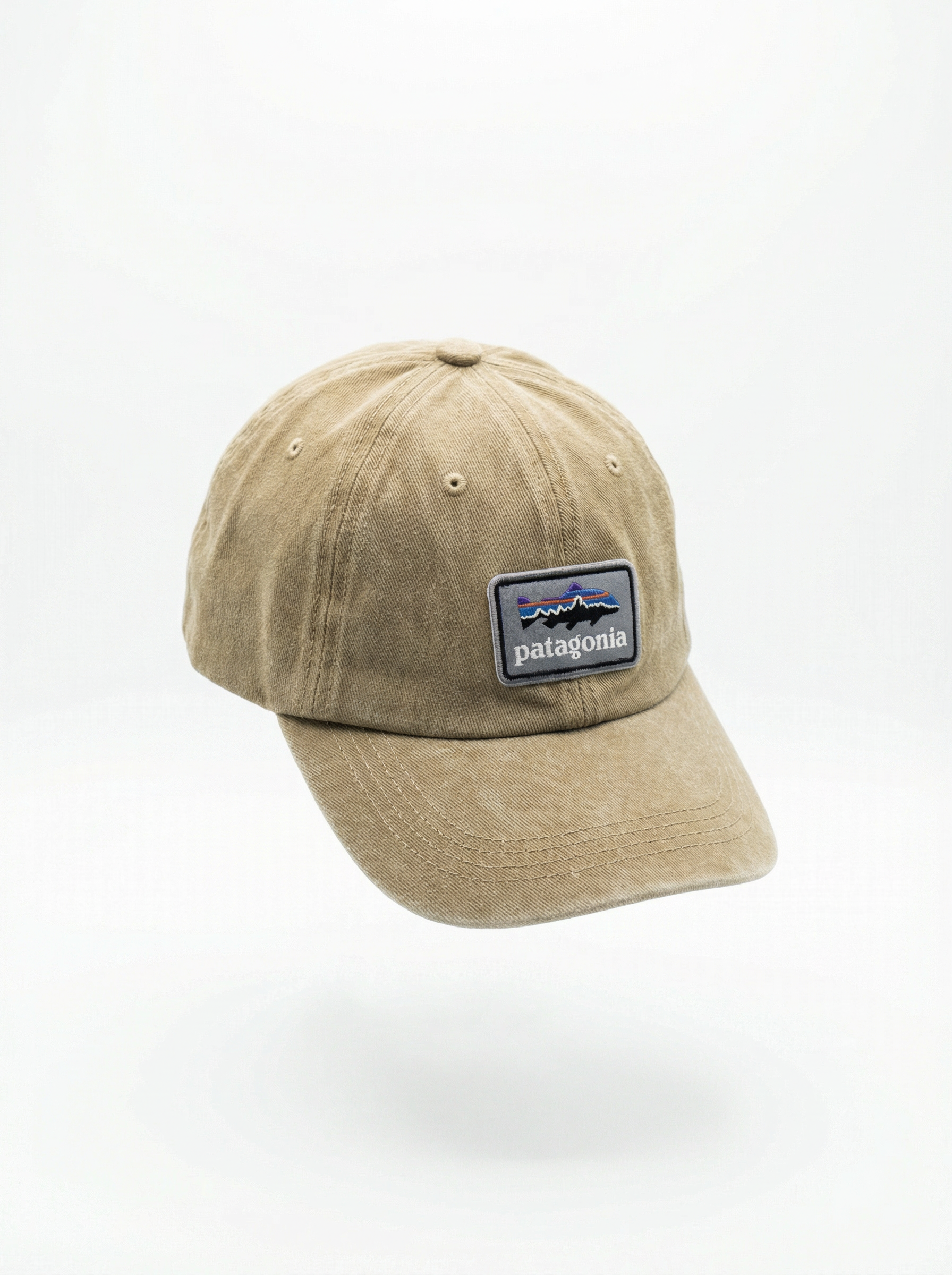 Patagonia Fitz Roy Trout Fitz Roy LoPro Trucker Hat Sage Green