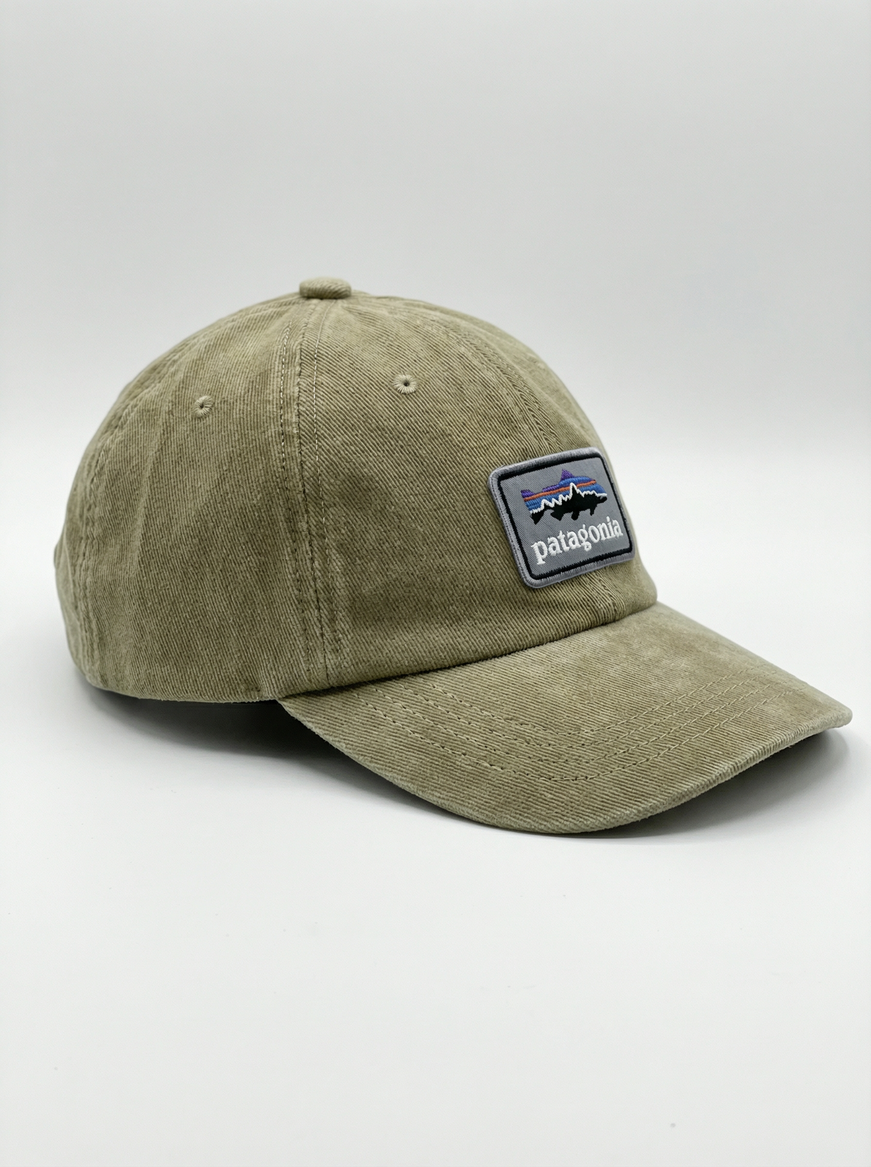 Patagonia Fitz Roy Trout Fitz Roy LoPro Trucker Hat Sage Green