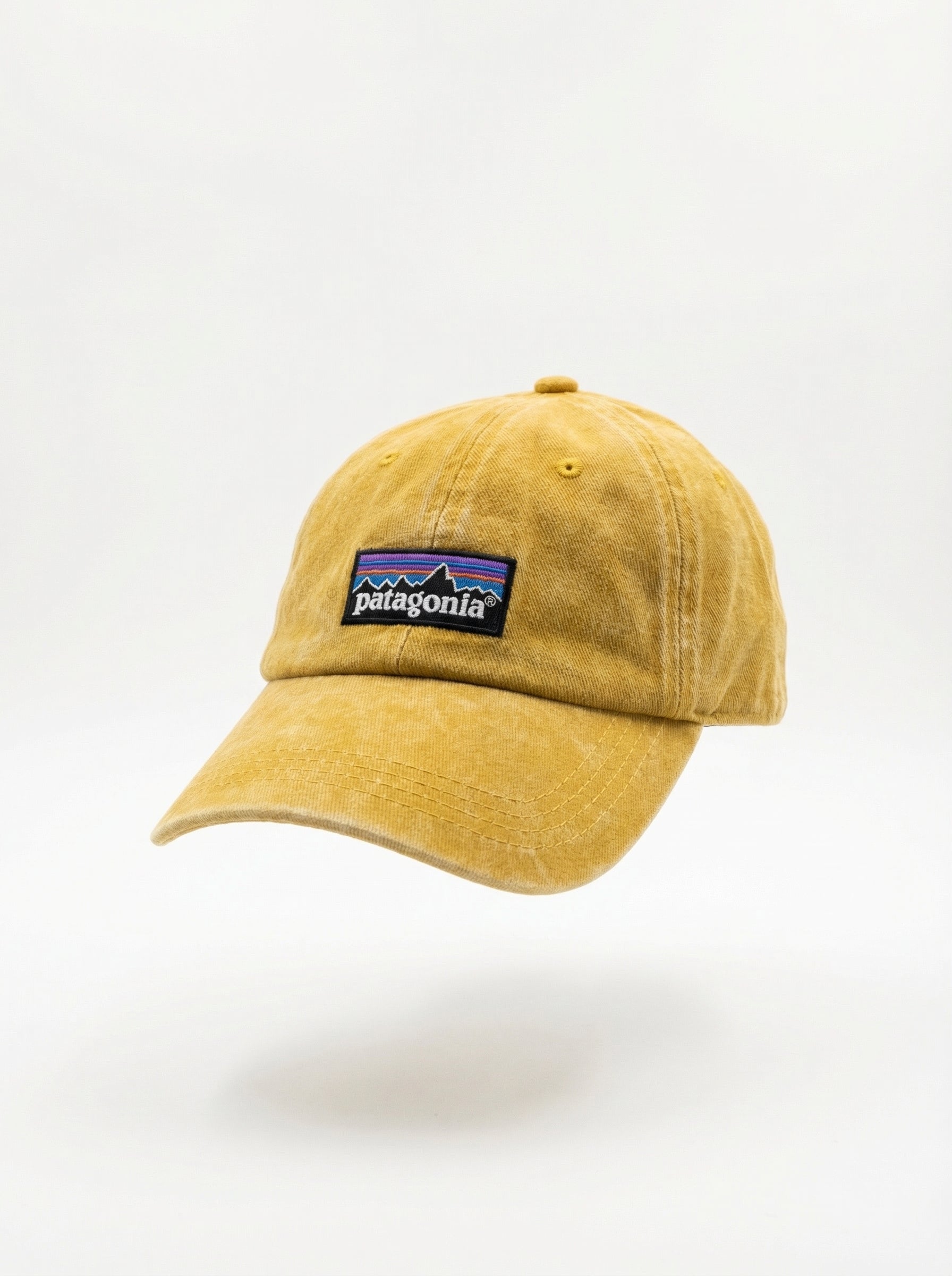 Patagonia P-6 Logo LoPro Trucker Hat