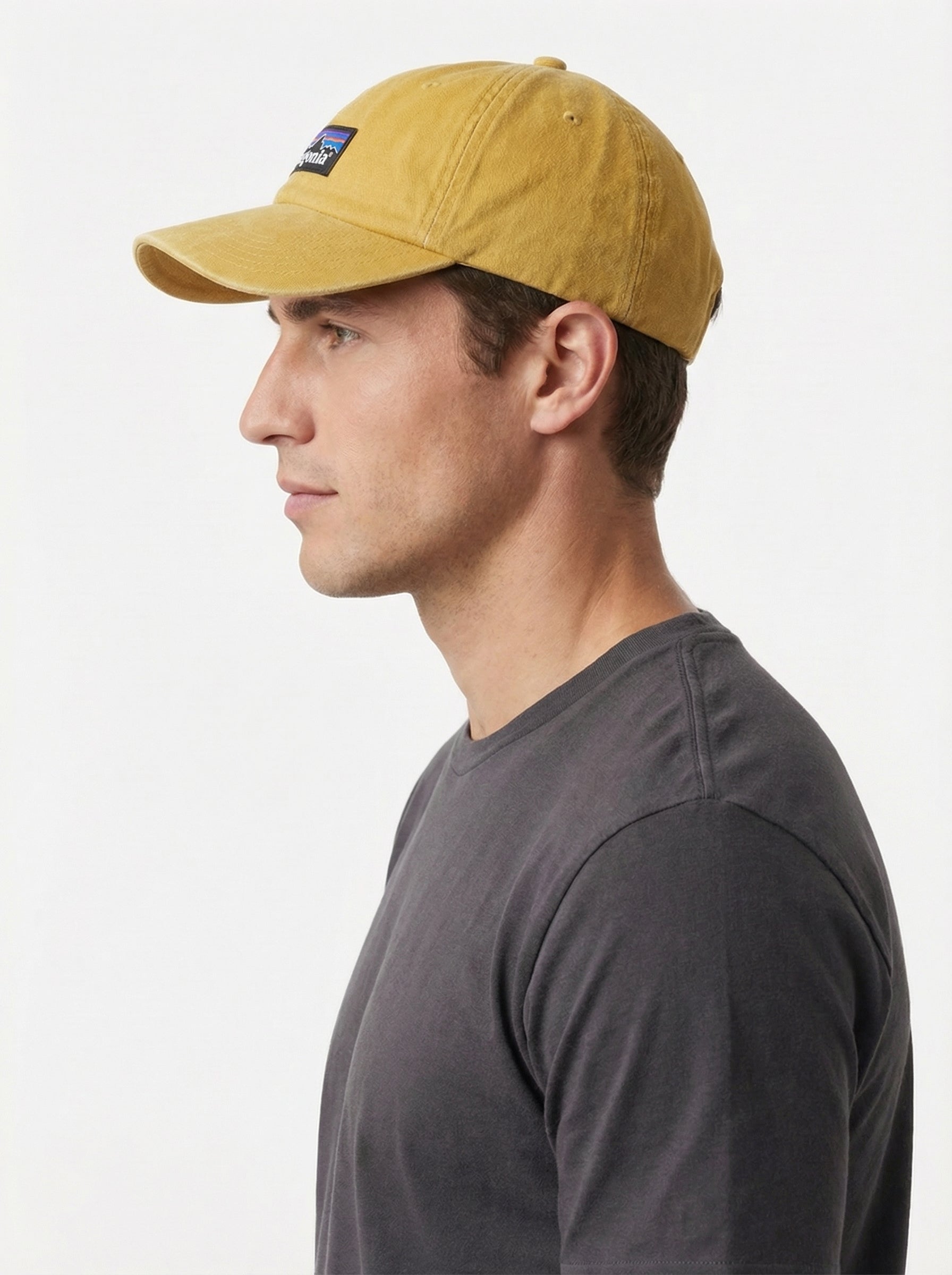 Patagonia P-6 Logo LoPro Trucker Hat